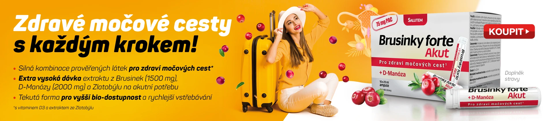Zdrav&eacute; močov&eacute; cesty